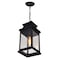 Cwi Lighting Milford 1 Light Outdoor Black Pendant 0418P7L-1 - alternate 2